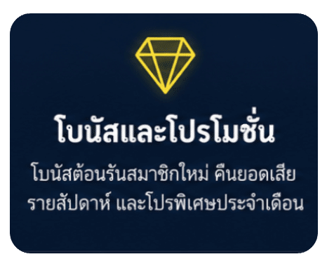 โบนัสและโปรโมชั่น